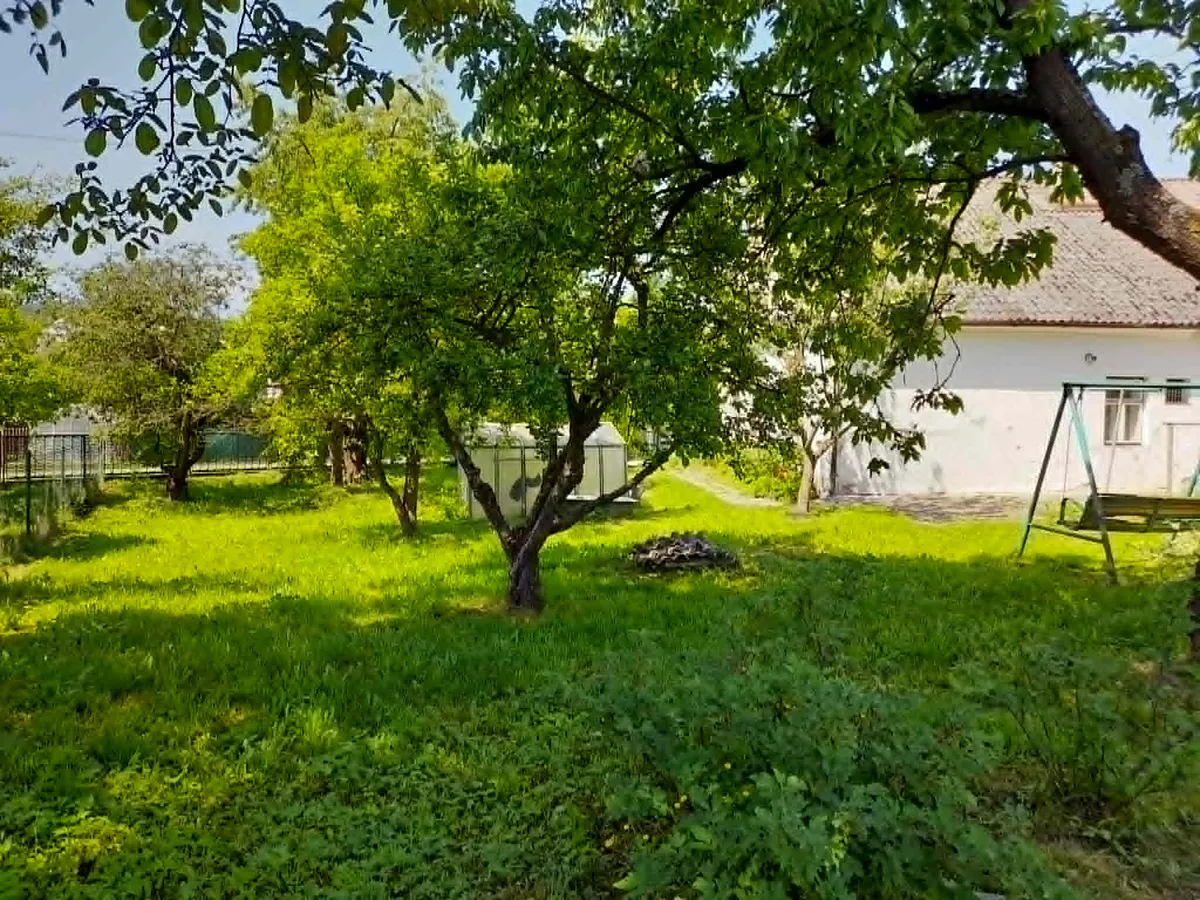 Fotka 9 z 27